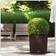 Lechuza Cube Cottage Krukke