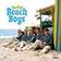 The Beach Boys - SURFIN' (Vinyl)
