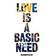 Love Is A Basic Need (Vinilo)