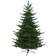 Star Trading Brekstad Julgran 210cm
