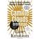 Camille Clouds brevkasse (Lydbog, MP3, 2017)