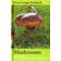 Mushrooms: River Cottage Handbook No.1 (Hardcover, 2014)