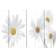 vidaXL Foldable Rumdeler 217x170cm