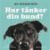 Hur tänker din hund? (Ljudbok, MP3, 2017)