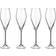 Le Creuset Mousserande Champagne Glass 29cl 4pcs