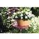Elho Green Basics Blomsterskål ∅38cm