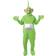 Rubies Teletubbies Dipsy Adult Costume