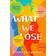 What We Lose (Paperback, 2018)
