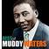 Muddy Waters - The Best Of Muddy Waters (Vinyl)