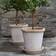 Bergs Potter Emilia Pot