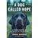 A Dog Called Hope: The Special Forces Wounded Warrior and the Dog Who Dared to Love Him