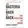 From Bacteria to Bach and Back: The Evolution of Minds (Häftad, 2018)