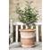 Bergs Potter Emilia Pot ∅13.78"