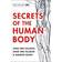 Secrets of the Human Body