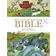 My Little Picture Bible (Childrens Bible) (Hardcover, 2008)