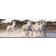 Clementoni High Quality Collection Running Horses 1000 Pieces