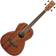 Ibanez PNB14E Open Pore Natural basse électro-acoustique