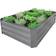 Gardenlife Easy M Raised Bed Højbed