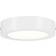 Paulmann Lunar 706.41 Ceiling Flush Light ∅ 17cm