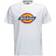 Dickies Camiseta De Manga Corta Tee - White