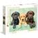 Clementoni High Quality Collection Three Labs 1000 Pieces