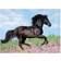 Ravensburger Black Stallion 200 Pieces