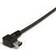 StarTech Active USB A-USB B 2.0 65.6ft