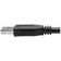 Tripp Lite SuperSpeed USB A-USB A 3.0 16.4ft