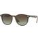 Ray-Ban RB4259 731/E8 Panthos Tartaruga