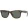 Ray-Ban Wayfarer Ease Polarized Sunglasses - Men's Brown/Green