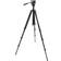 Celestron TrailSeeker Tripod + Fluid Pan Head