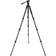 Celestron Regal Premium Tripod