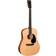 Martin Guitars D-16E