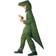 Hisab Joker Dinosaur Children's Costume