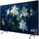 Samsung QE65Q8DN