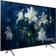 Samsung QE65Q8DN