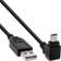 InLine Up Angled 90° USB A-USB Mini-B 5 Pin 2.0 0.3m