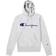 Champion Hooded Sweatshirt Gray Male