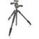 Vanguard Alta Pro 2 264AP + PH-32