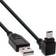 InLine Up Angled 90° USB A-USB Mini-B 5 Pin 2.0 0.3m