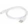 Gembird USB A - USB A 2.0 1m