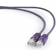 Gembird PP12 RJ45-RJ45 UTP Cat5e