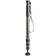 Gitzo GM2542 eXact carbon monopod series 2