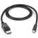 Black Box DisplayPort - Mini DisplayPort 1.8m