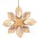 PR Home Anna Advent Star ∅ 82cm