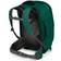 Osprey Fairview 40 WS/M - Rainforest Green