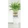 Lechuza Cubico Color Pot Krukke
