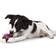 PetSafe Busy Buddy Bouncy Bone L