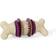 PetSafe Busy Buddy Bristle Bone L