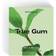 True Gum Mint Chewing Gum